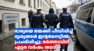 ഭാര്യയെ മയക്കി പീഡിപ്പിച്ച് ദൃശ്യങ്ങൾ ഇന്റർനെറ്റിൽ  പ്രചരിപ്പിച്ചു; ഭർത്താവിന്  എട്ടര വർഷം തടവ്