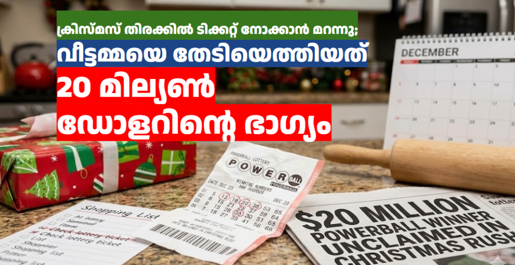 ക്രിസ്മസ് തിരക്കിൽ ടിക്കറ്റ് നോക്കാൻ മറന്നു; വീട്ടമ്മയെ തേടിയെത്തിയത് 20 മില്യൺ ഡോളറിന്റെ ഭാഗ്യം