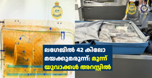 ലഗേജിൽ 42 കിലോ മയക്കുമരുന്ന്: മൂന്ന് യുവാക്കൾ അറസ്റ്റിൽ