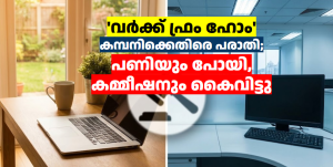 ‘വർക്ക് ഫ്രം ഹോം’ കമ്പനിക്കെതിരെ പരാതി; പണിയും പോയി, കമ്മീഷനും കൈവിട്ടു
