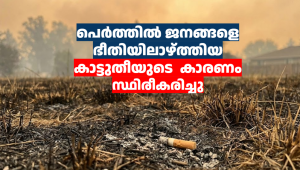 പെർത്തിൽ ജനങ്ങളെ ഭീതിയിലാഴ്ത്തിയ കാട്ടുതീയുടെ കാരണം സ്ഥിരീകരിച്ചു