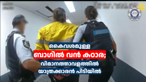 കൈവശമുള്ള ബാഗിൽ വൻ കഠാര; ബ്രിസ്‌ബേൻ വിമാനത്താവളത്തിൽ യാത്രക്കാരൻ പിടിയിൽ