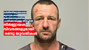 ഗർഭിണിയുൾപ്പെടെ മൂന്നുപേരെ കൊലപ്പെടുത്തിയ പ്രതിക്കായുള്ള തിരച്ചിൽ :  നിർണ്ണായക വിവരങ്ങളുമായി രണ്ടു യുവതികൾ 