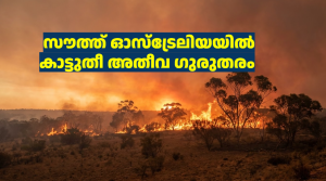 സൗത്ത് ഓസ്‌ട്രേലിയയിൽ കാട്ടുതീ അതീവ ഗുരുതരം