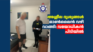 അശ്ലീല ദൃശ്യങ്ങൾ ഓൺലൈൻ വഴി വാങ്ങി: വയോധികൻ പിടിയിൽ