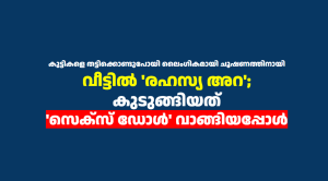 കുട്ടികളെ തട്ടിക്കൊണ്ടുപോയി ലൈംഗികമായി ചൂഷണത്തിനായി  വീട്ടിൽ ‘രഹസ്യ അറ’; കുടുങ്ങിയത് ‘സെക്സ് ഡോൾ’ വാങ്ങിയപ്പോൾ