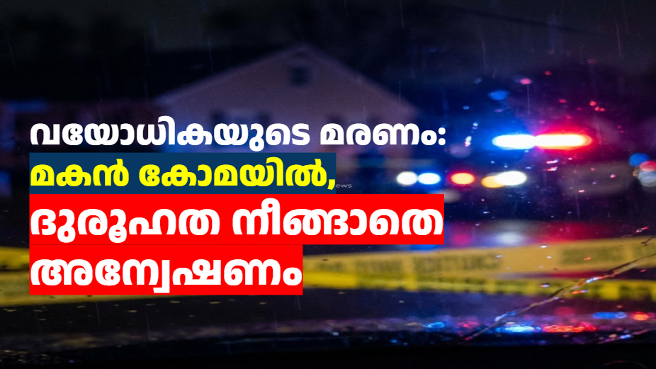വയോധികയുടെ മരണം: മകൻ കോമയിൽ, ദുരൂഹത നീങ്ങാതെ അന്വേഷണം