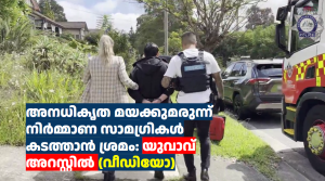 അനധികൃത മയക്കുമരുന്ന് നിർമ്മാണ സാമഗ്രികൾ കടത്താൻ ശ്രമം: യുവാവ് അറസ്റ്റിൽ (വീഡിയോ)