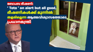 ബോംബ് ഭീഷണി: ‘ Toto ’ on alert but all good, ഭീഷണികൾക്ക് മുന്നിൽ തളരില്ലെന്ന ആത്മവിശ്വാസത്തോടെ പ്രധാനമന്ത്രി
