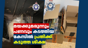 മയക്കുമരുന്നും പണവും കടത്തിയ കേസിൽ പ്രതിക്ക്  കടുത്ത ശിക്ഷ