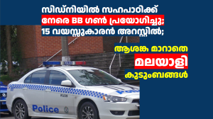 സിഡ്‌നിയിൽ സഹപാഠിക്ക് നേരെ BB ഗൺ പ്രയോഗിച്ചു; 15 വയസ്സുകാരൻ അറസ്റ്റിൽ; ആശങ്ക മാറാതെ മലയാളി കുടുംബങ്ങൾ 