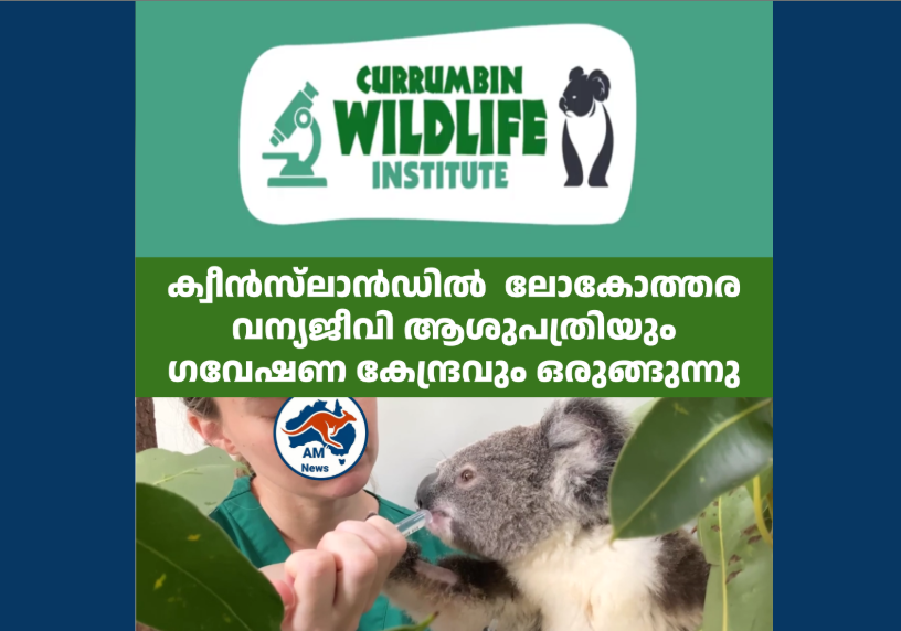 ക്വീൻസ്‌ലാൻഡിൽ  ലോകോത്തര വന്യജീവി ആശുപത്രിയും ഗവേഷണ കേന്ദ്രവും ഒരുങ്ങുന്നു