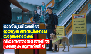 ഈസ്റ്റർ അവധിക്കാല യാത്രക്കാർക്ക് വിമാനത്താവളങ്ങളിൽ പ്രത്യേക മുന്നറിയിപ്പ് (Video)