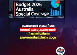 ഫെഡറൽ ബജറ്റിലെ വമ്പൻ പ്രഖ്യാപനങ്ങൾ: നികുതിയിലും ഇന്ധനവിലയിലും മാറ്റം