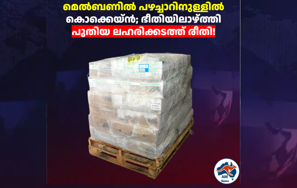മെൽബണിൽ പഴച്ചാറിനുള്ളിൽ കൊക്കെയ്ൻ; ഭീതിയിലാഴ്ത്തി പുതിയ ലഹരിക്കടത്ത് രീതി!