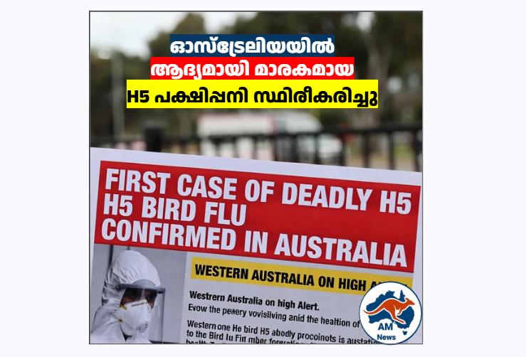 ഓസ്‌ട്രേലിയയിൽ ആദ്യ H5 പക്ഷിപ്പനി: WA-യിൽ അതീവ ജാഗ്രത