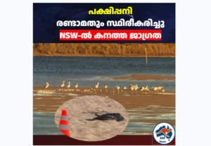 ന്യൂ സൗത്ത് വെയിൽസിൽ രണ്ടാമത്തെ പക്ഷിപ്പനി സ്ഥിരീകരിച്ചു; ജനങ്ങൾക്ക് ജാഗ്രതാ നിർദ്ദേശം