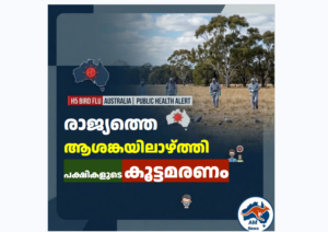 H5 bird flu Australia:  രാജ്യത്തെ ആശങ്കയിലാഴ്ത്തി പക്ഷികളുടെ കൂട്ടമരണം