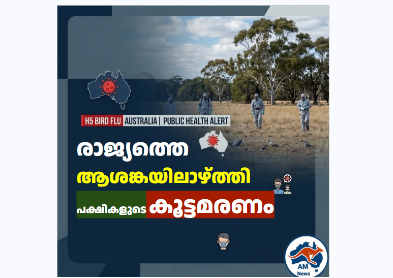 H5 bird flu Australia:  രാജ്യത്തെ ആശങ്കയിലാഴ്ത്തി പക്ഷികളുടെ കൂട്ടമരണം