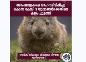 വോംബാറ്റുകളെ കൊന്ന കേസ്: യുവാക്കൾക്ക് വൻ തുക പിഴയും ശിക്ഷയും ലഭിച്ചേക്കാം