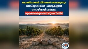 ബാക്ക്‌പാക്കർ വിസകൾ വൈകുന്നു: ഓസ്ട്രേലിയൻ ഫാമുകളിൽ തൊഴിലാളി ക്ഷാമം രൂക്ഷമാകുമെന്ന് മുന്നറിയിപ്പ്