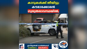 കാറുകൾക്ക് തീയിട്ടു; കൗമാരക്കാരൻ ഗുരുതരാവസ്ഥയിൽ